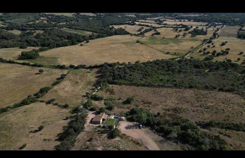 Villa in nature & heated pool - Figari - Foto 26