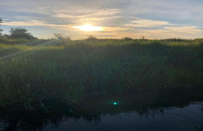 Zoutleeuw Home With Pool - Foto 38