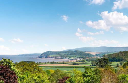 Seashells - Photo 22