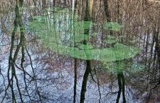 EUROPA22 Apartament z JACUZZI w samym sercu miasta Tomaszów Maz - balkon z widokiem na park i fontanny Szybkie zameldowanie od 13 - Foto 32