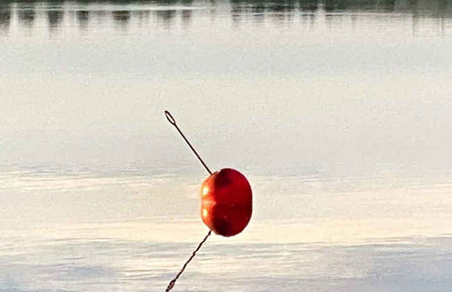 4 Star Holiday Home in Tronodal-by Traum - Photo 24