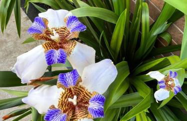 Loft Sonho de Beija - Foto 33