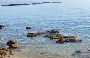 Pied a terre Coralli - Foto 10