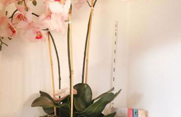 Ferienwohnung Magnolie in Langenargen - Foto 17