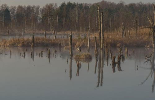 63qm im Eschachtal - Photo 25