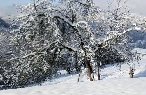 Gîte du Poirier - Foto 6