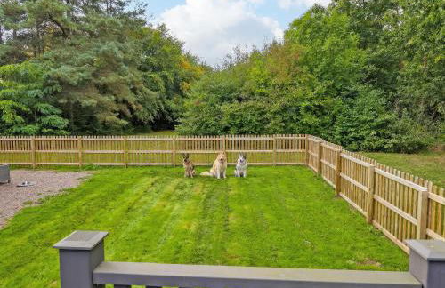 Paws In The Pines - Foto 18