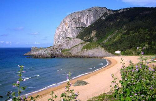 Apartamento Lagabide - Foto 11