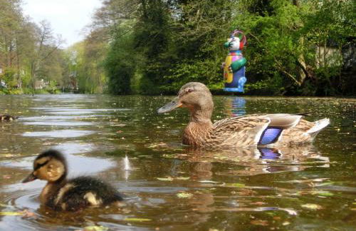 Ferienwohnung Zentrum Buxtehude - Photo 16