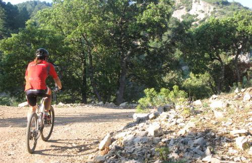 La Caseta del Port - Foto 24