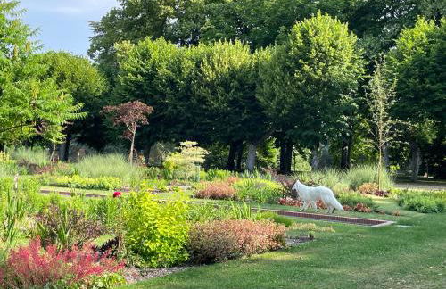 maison d'hôtes de l'orangerie 14 personnes - Foto 47