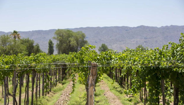 San Juan Private Day Trip - Foto 4