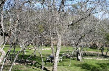 Creekside Cabin Rental for Quintessential Staycation near Austin, Texas - Foto 5