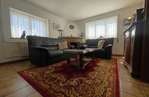 Vete Polo Segau, Seguencu - Foto 5