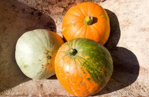 Rural Apartment Carolina - Foto 35