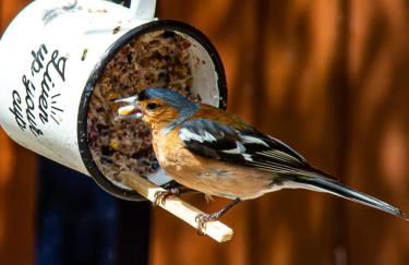Cairnhill Lodge - Award-Winning Luxury Highland Retreat - Photo 24