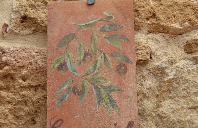 Borgo Sant'Ambrogio Resort - Foto 6