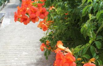 Apartment Milica - Foto 48