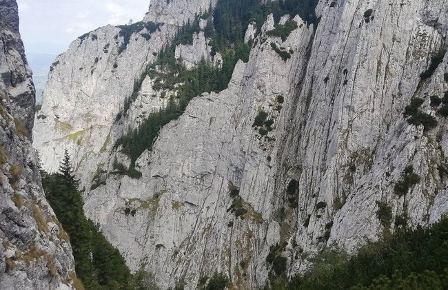 PRIVATE, MEDIUM Day Hike in Carpathian Mountains - Photo 11