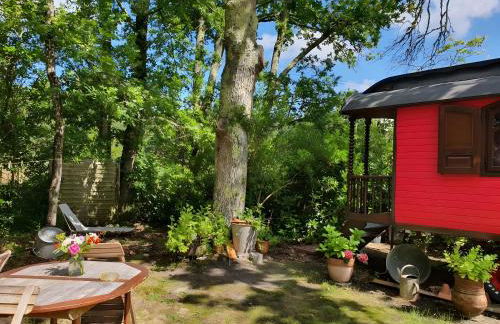 La roulotte d'alany - Foto 18