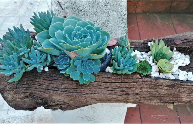 Dépendance in Villa Karmel - Photo 19