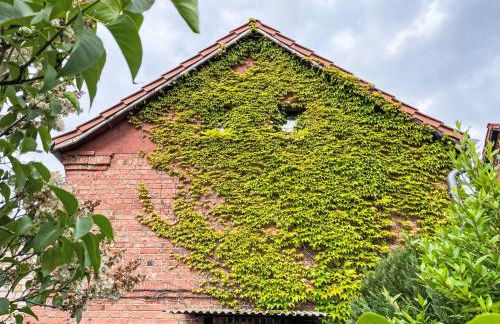 Holiday Home Jana by Interhome - Foto 38