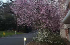 City Résidence Marcy l'Etoile - Foto 19