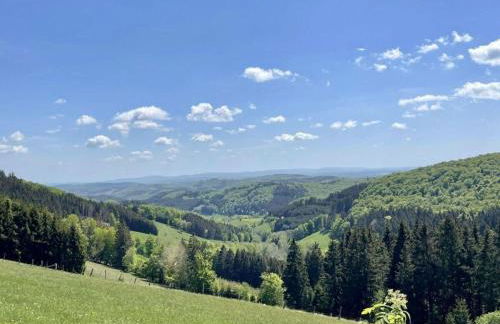 Holiday Home in Willingen-neerdar - Foto 49