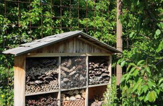 Haus im Erlengrund - Photo 25