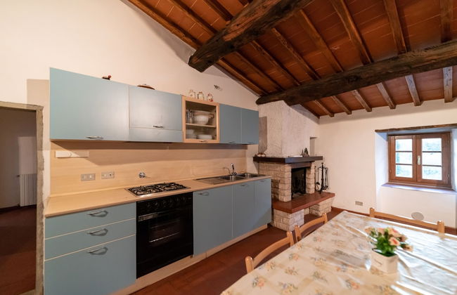 Fattoria di Cintoia - Photo 32