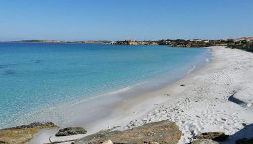 Il Verde Ulivo - Photo 3