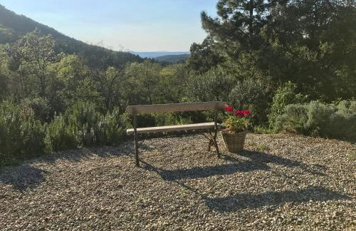 Le Mouron Rouge - Foto 67