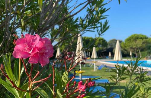 Calilla Home -appartamento Libeccio - Foto 9