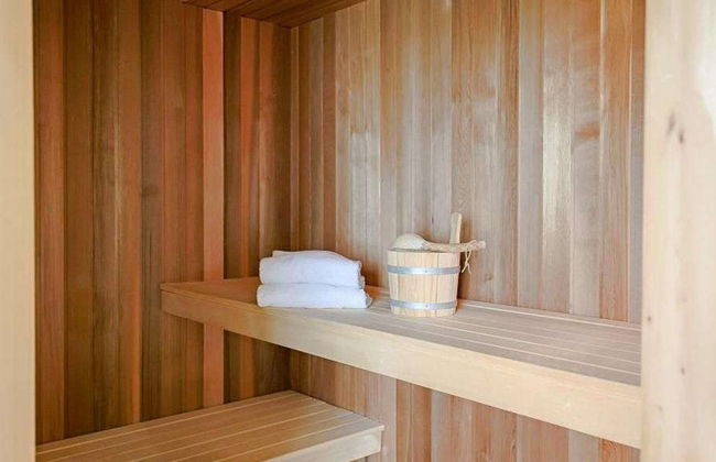 Steinwälzer - Foto 5