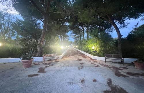 Villa nel Salento con piscina e ulivi - Foto 37
