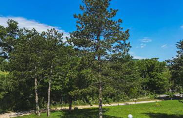 Agriturismo Villa Tadina - Foto 38