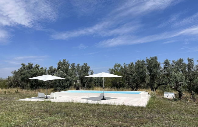 Fazenda do Pomar - Foto 55