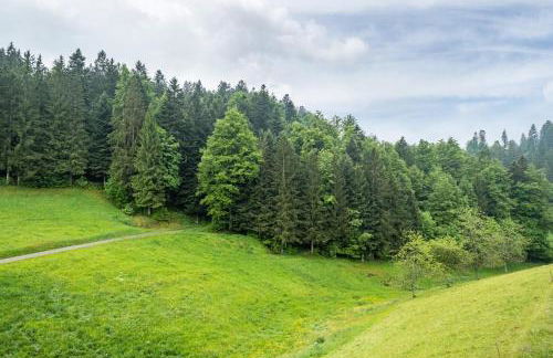 Schreinerhäusle nähe Titisee - Foto 10