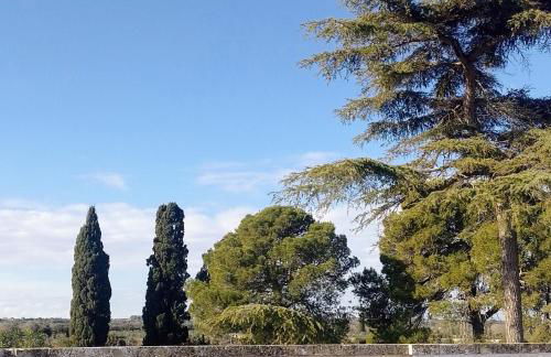 Agriturismo Villa Coluccia - Foto 53