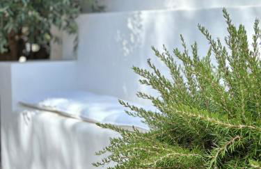 Alentejo Living - Foto 64