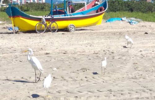 Casa Shangri-la Ar-Condicionado Piscina TV a cabo Wifi 360mb - Foto 46