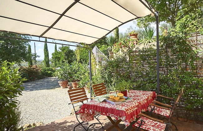 Ventena Vecchia Antico Frantoio - Photo 59