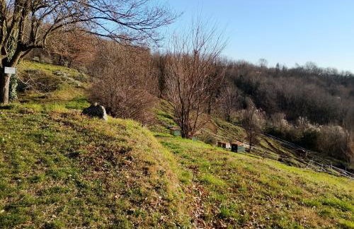 Agriturismo La Collina delle Api - Foto 46