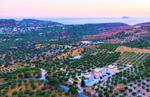 Villa Harmony in Kamilari and Villa Joy in Kamilari - Photo 70