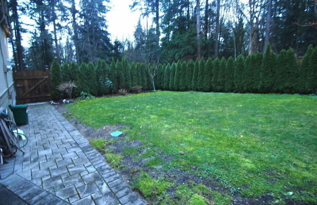 LUXE Retreat at 8050 Kaymar Dr. - Photo 58