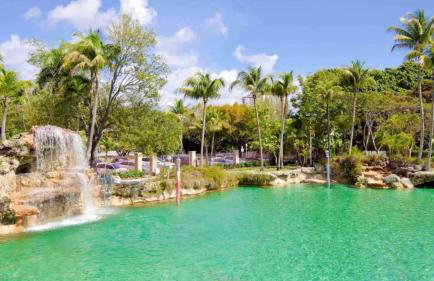 Beautiful House 7 min from Miami Airport w FREE parking - Photo 70