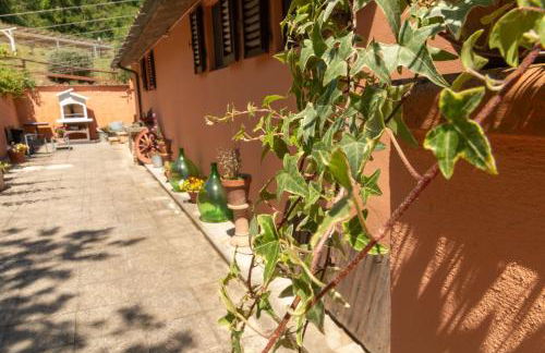 Podere Il Doccio - Photo 71