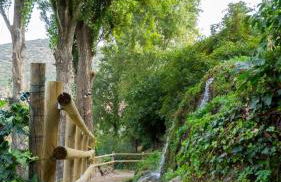 El Pinsapo Casa Rural - Foto 43