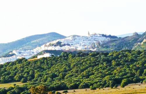 Beautiful Duplex with a Patio - Photo 39