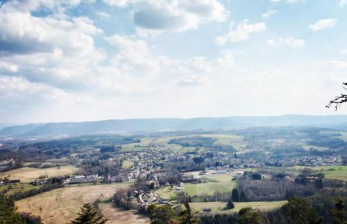 v i o l e t t e La souris des champs - Foto 14